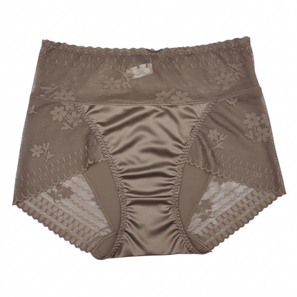Elysian Silk Lace Brief