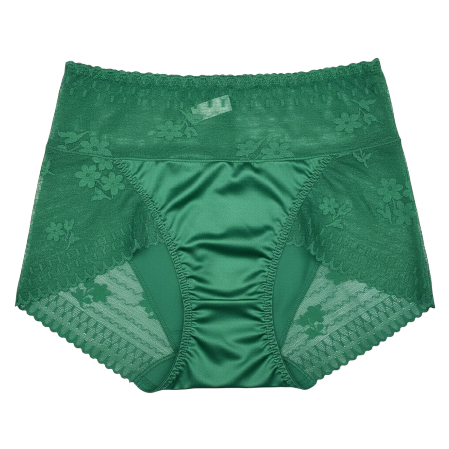 Elysian Silk Lace Brief
