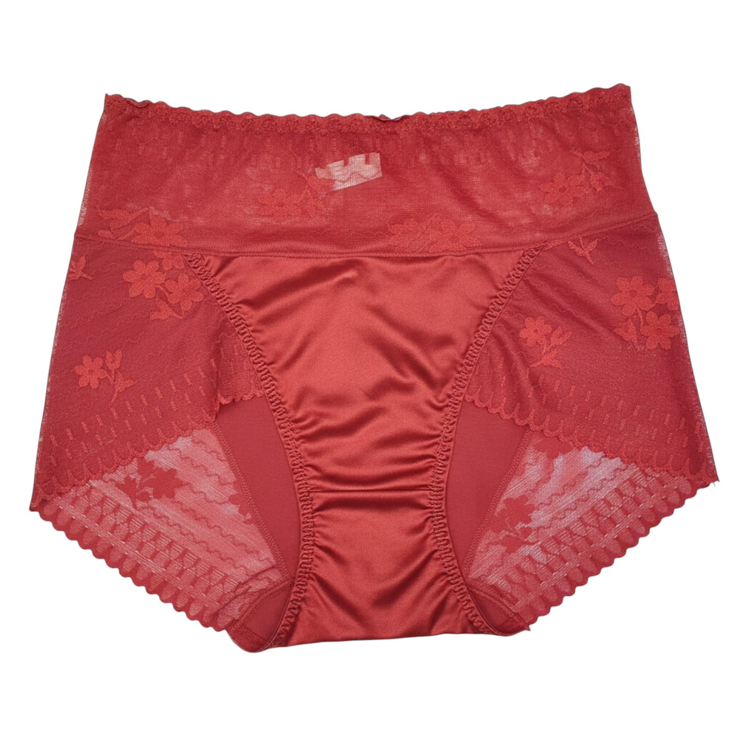 Elysian Silk Lace Brief