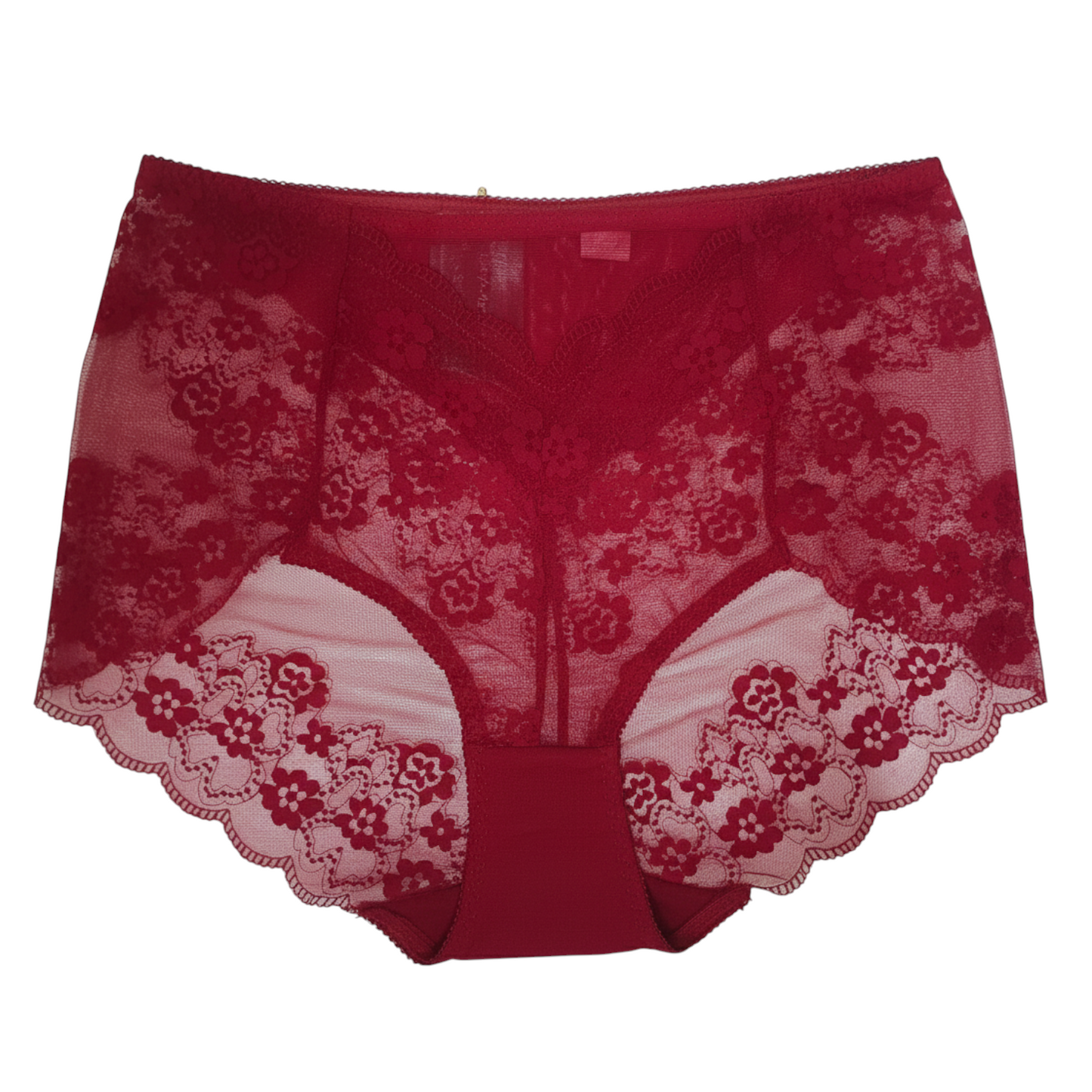Ember Lace High-Rise Brief