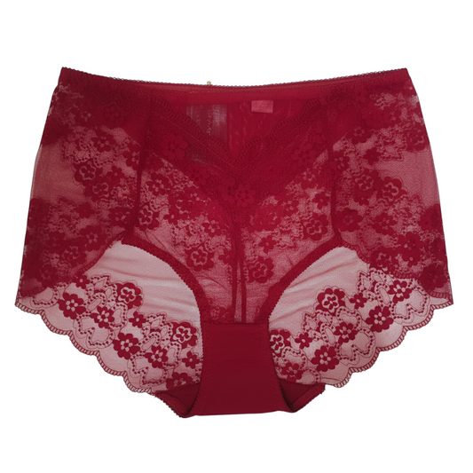 Ember Lace High-Rise Brief